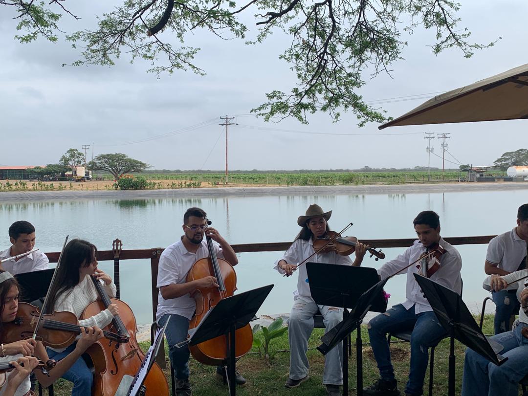 vinos bodegas pomar asi se hace