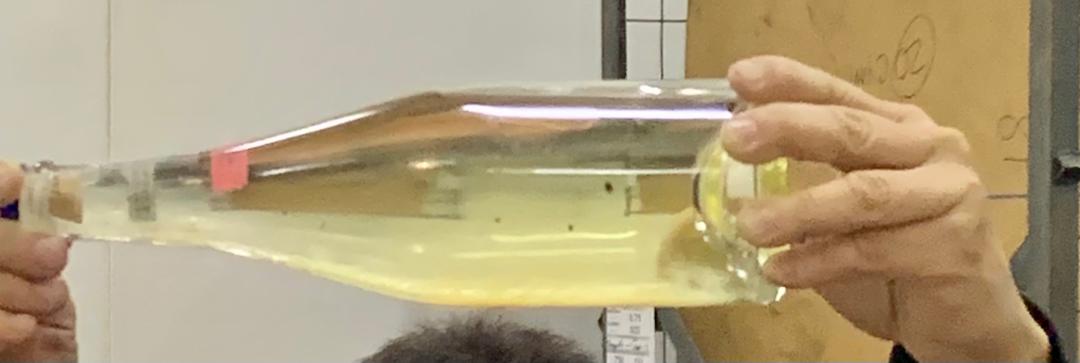 bodegas pomar vinos vendimia