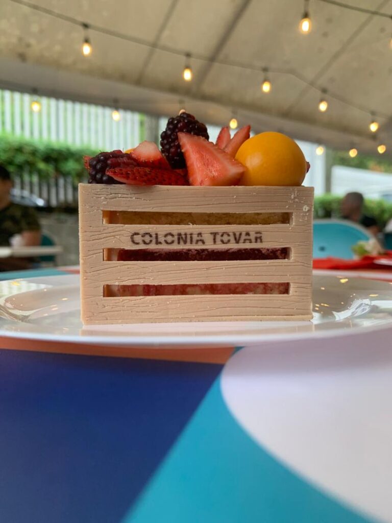 La colonia tovar angélica locantore