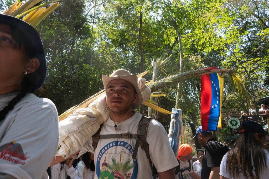 palmeros