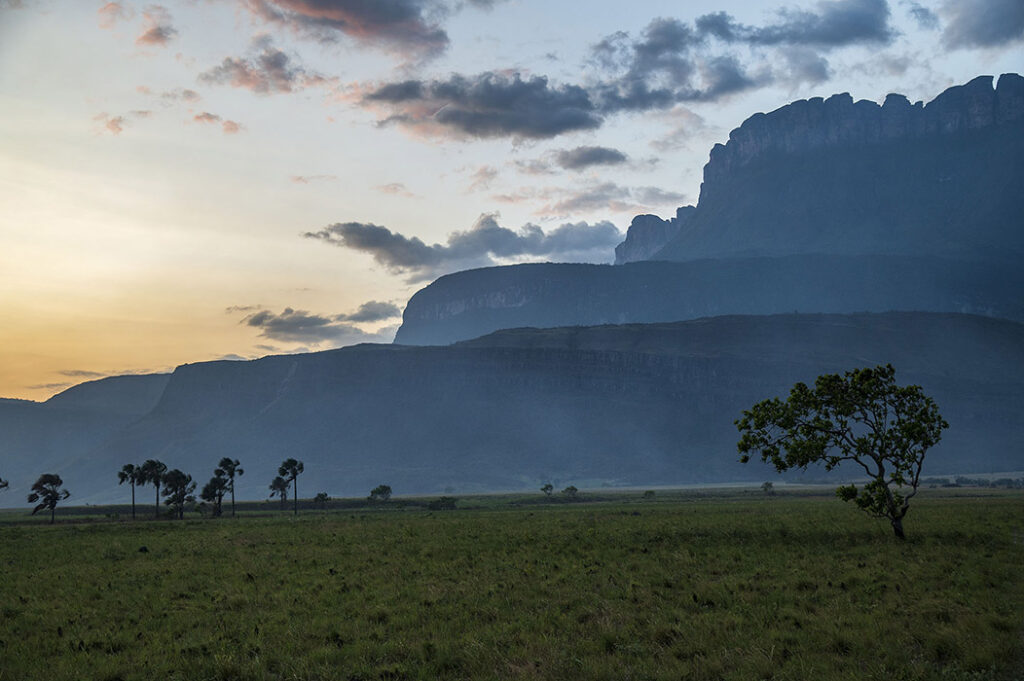 auyantepui
