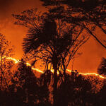 canaima
