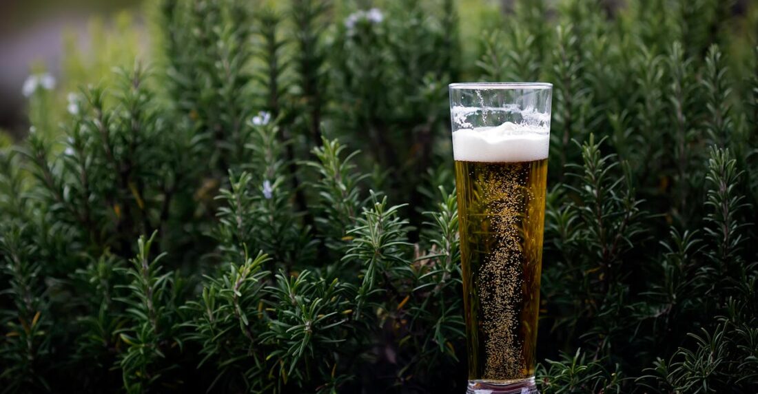 Jardín cervecero