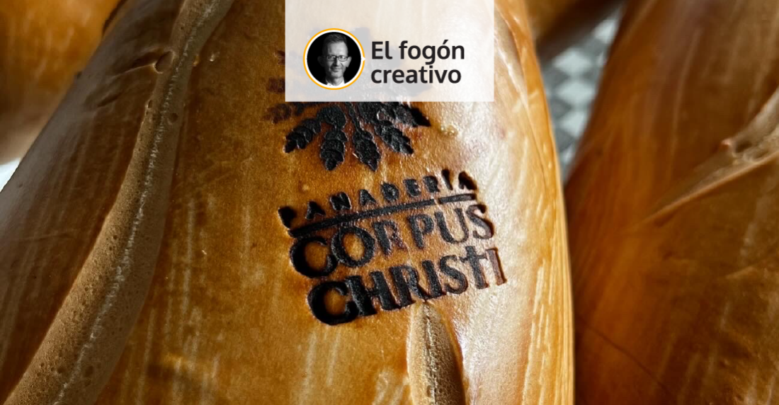 camaleón