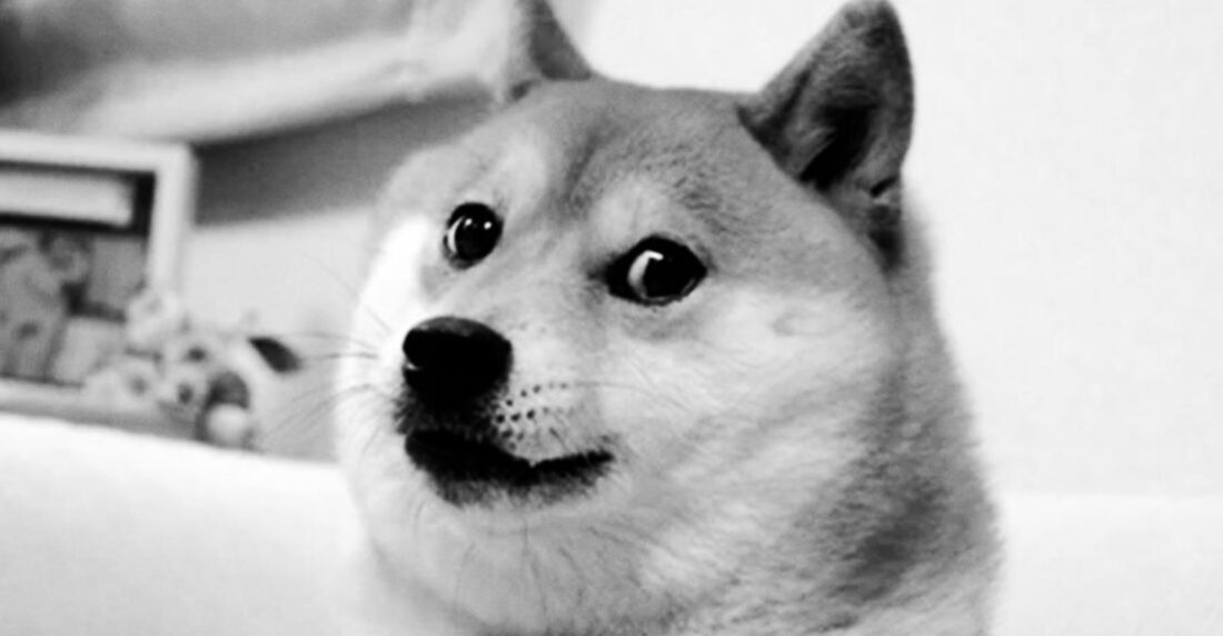 Kabosu