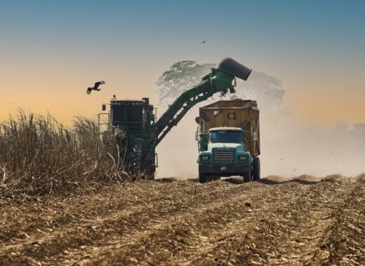 abastecimiento de azúcar