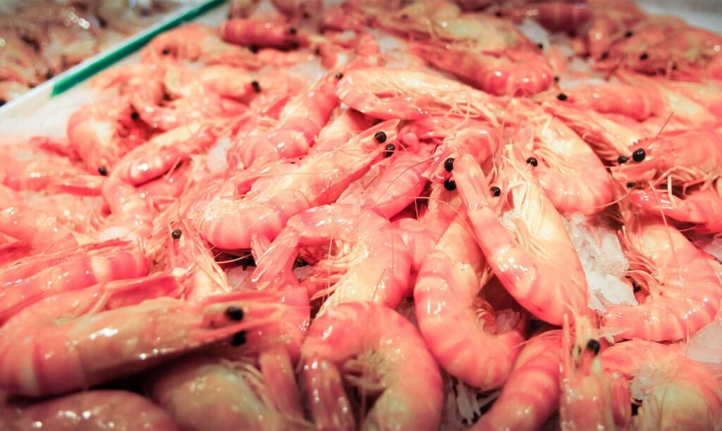 camarones