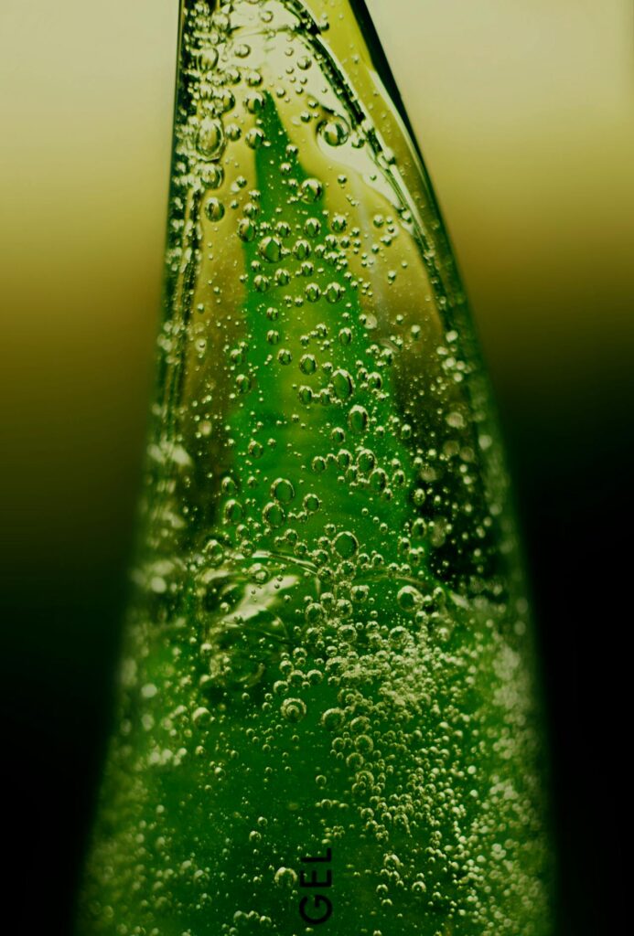 aloe vera sábila