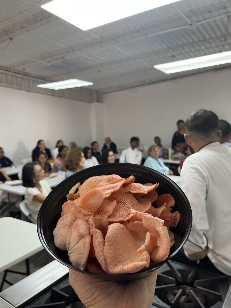 Simbiosis Fest 2024 celebra el arte de la fermentación este 30 de noviembre