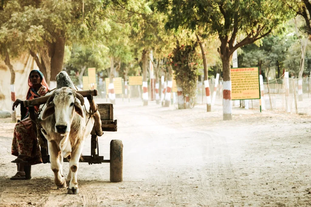 La temperatura en India alcanzó el récord de 49,2 ºC en 2024