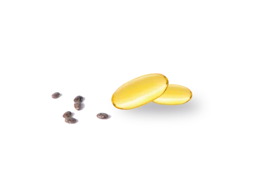 Omega 3 con chía es lo más nuevo en suplementos