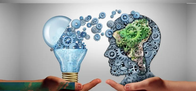 innovacion empresarial