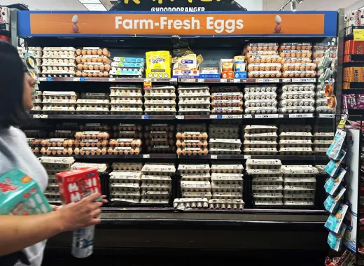 Crisis de huevos en EE.UU.: comienzan a venderse por unidad