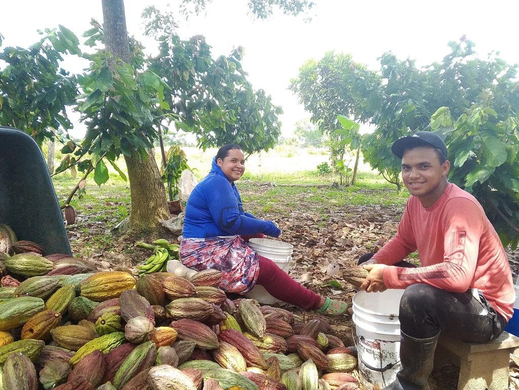 Cacaos del Alto Apure: mujeres protagonizan una colección de chocolate fino