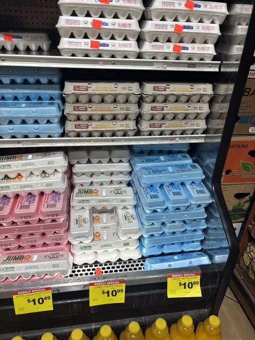 Crisis de huevos en EE.UU.: comienzan a venderse por unidad 