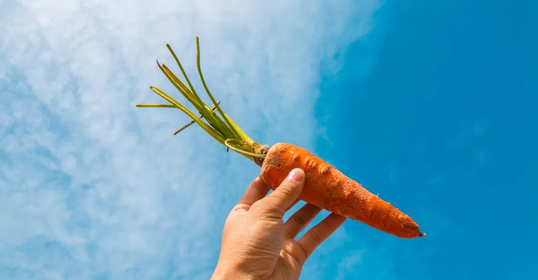 vitaminas