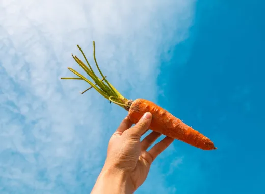 vitaminas