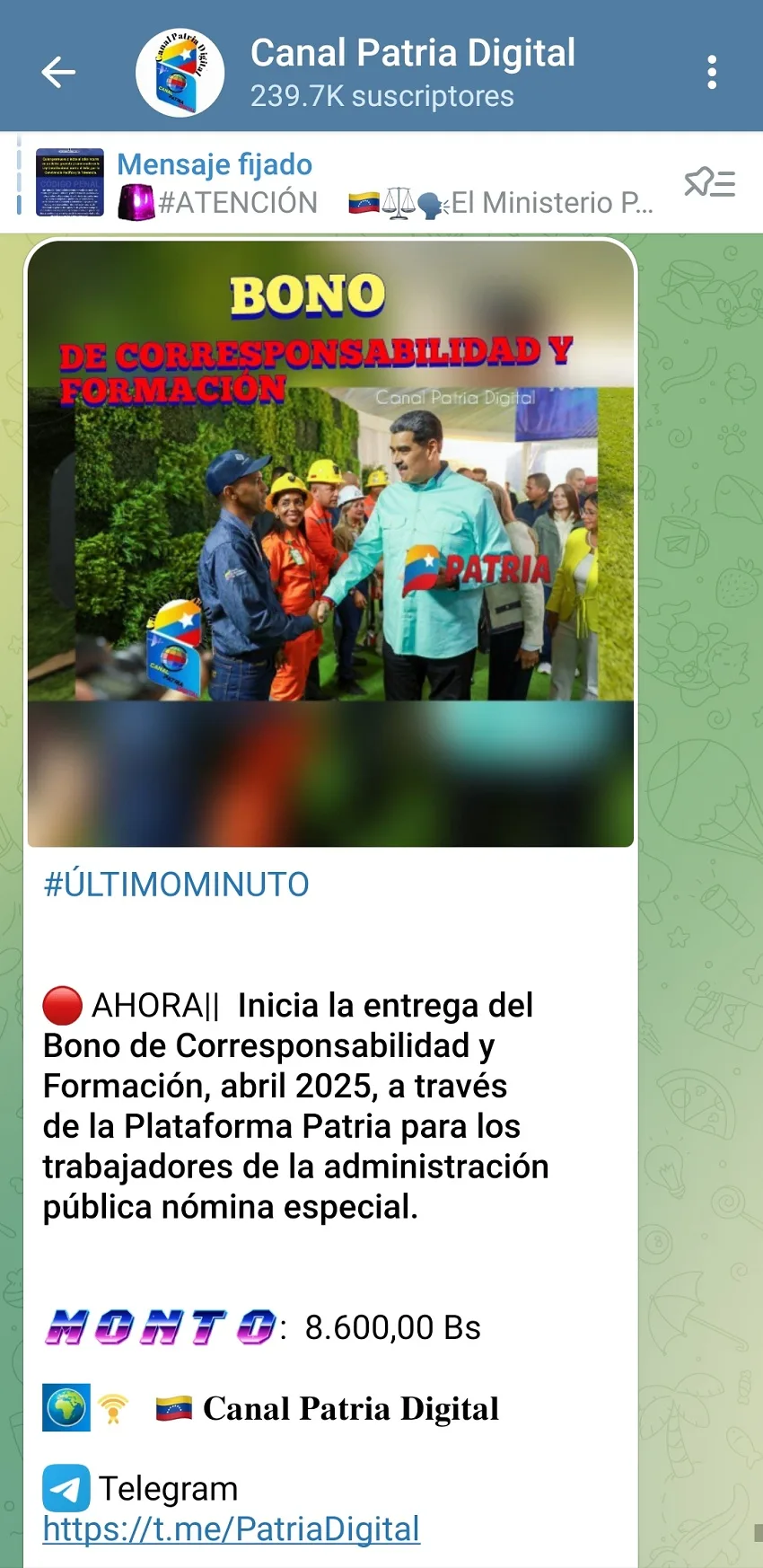 bono sistema patria