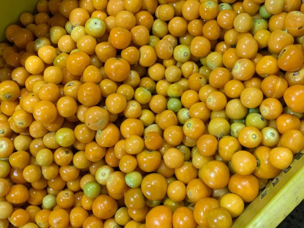 8 frutas colombianas que probablemente no conoces