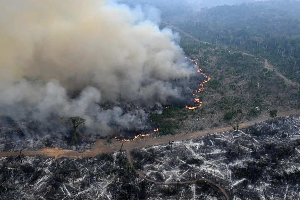 bosques incendios calentamiento global