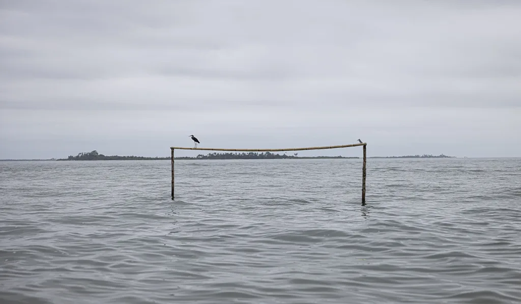 cambio climático