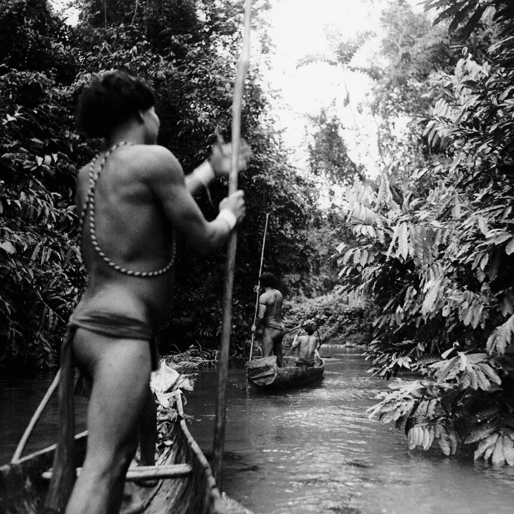 Memoria de la Selva en Playa El Agua