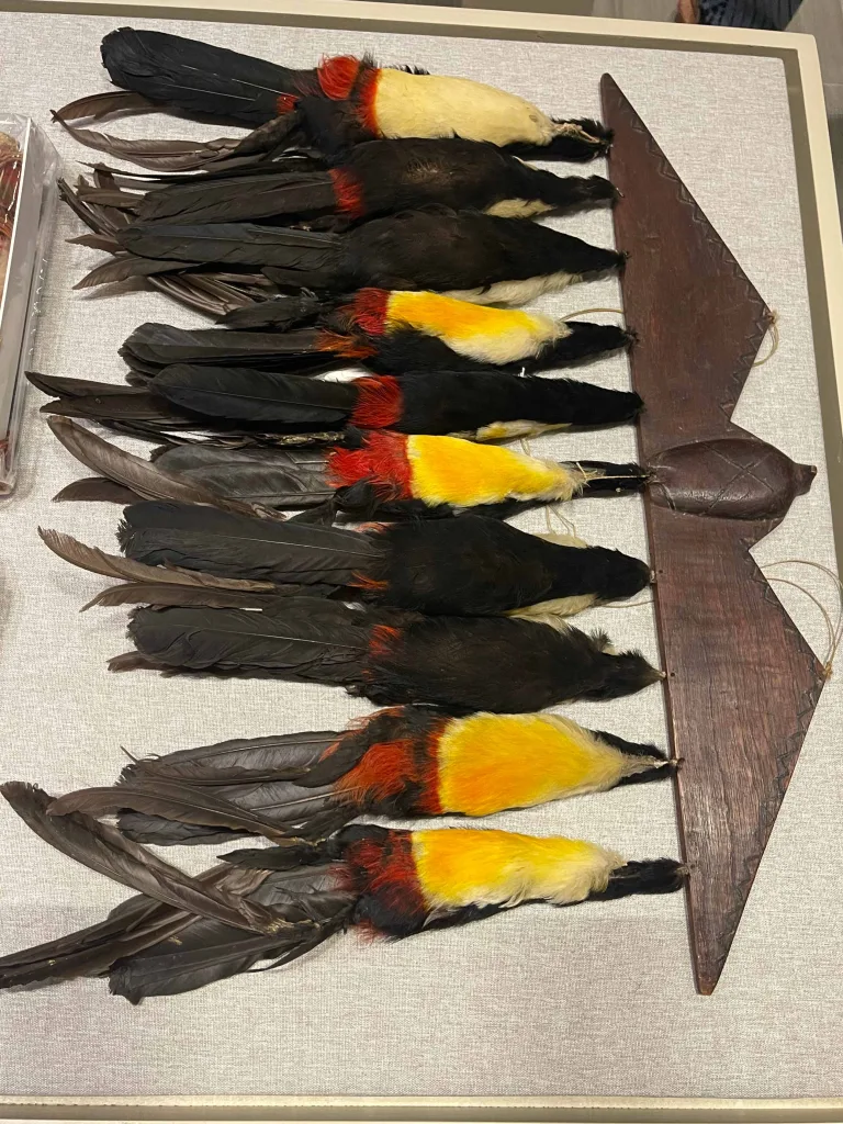 Memoria de la Selva en Playa El Agua