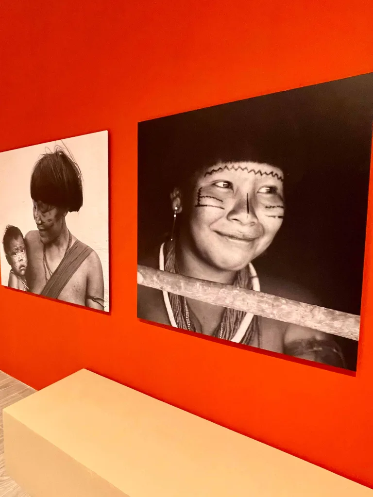 Memoria de la Selva en Playa El Agua