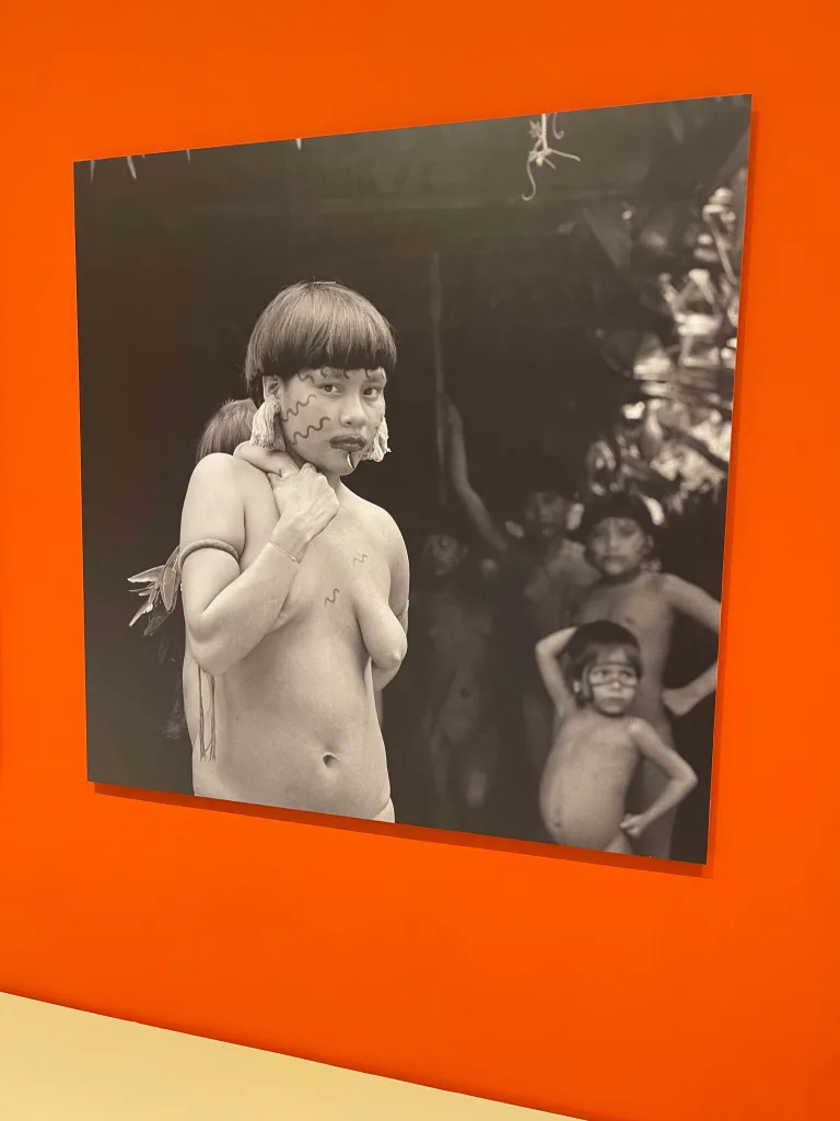 Memoria de la Selva en Playa El Agua