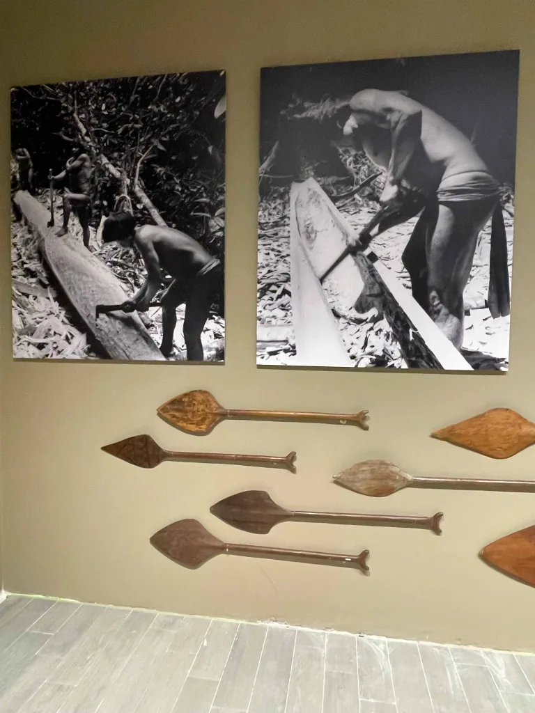 Memoria de la Selva en Playa El Agua