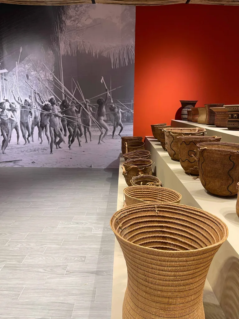 Memoria de la Selva en Playa El Agua