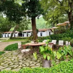 Hacienda El Recreo: en las montañas de Carabobo se cultiva cacao y café de exportación
