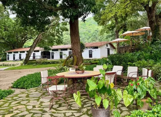 Hacienda El Recreo: en las montañas de Carabobo se cultiva cacao y café de exportación