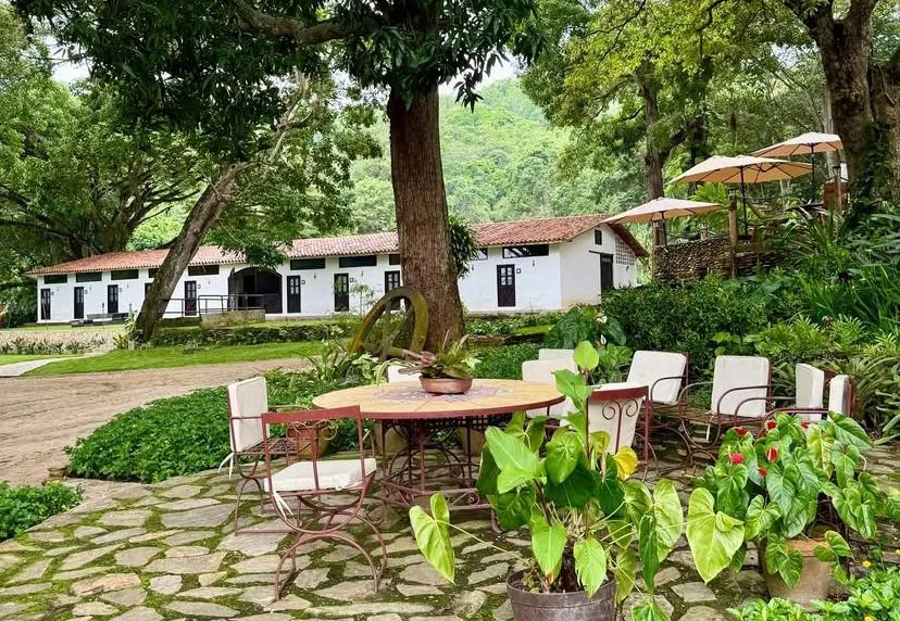 Hacienda El Recreo: en las montañas de Carabobo se cultiva cacao y café de exportación