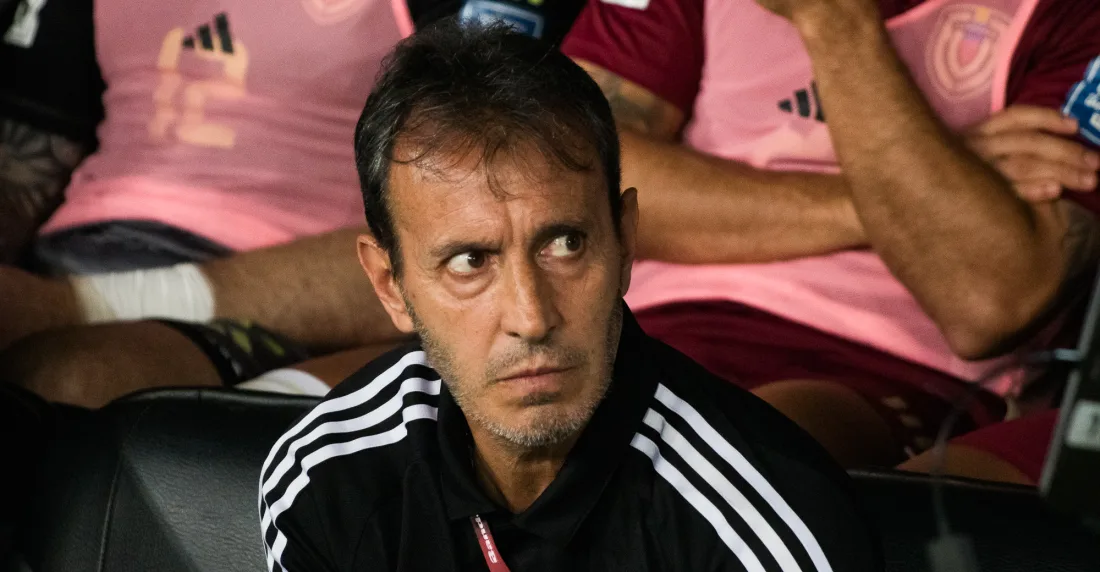 vinotinto