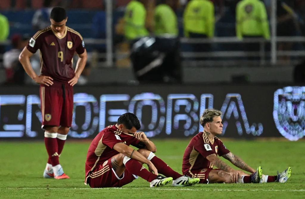 vinotinto