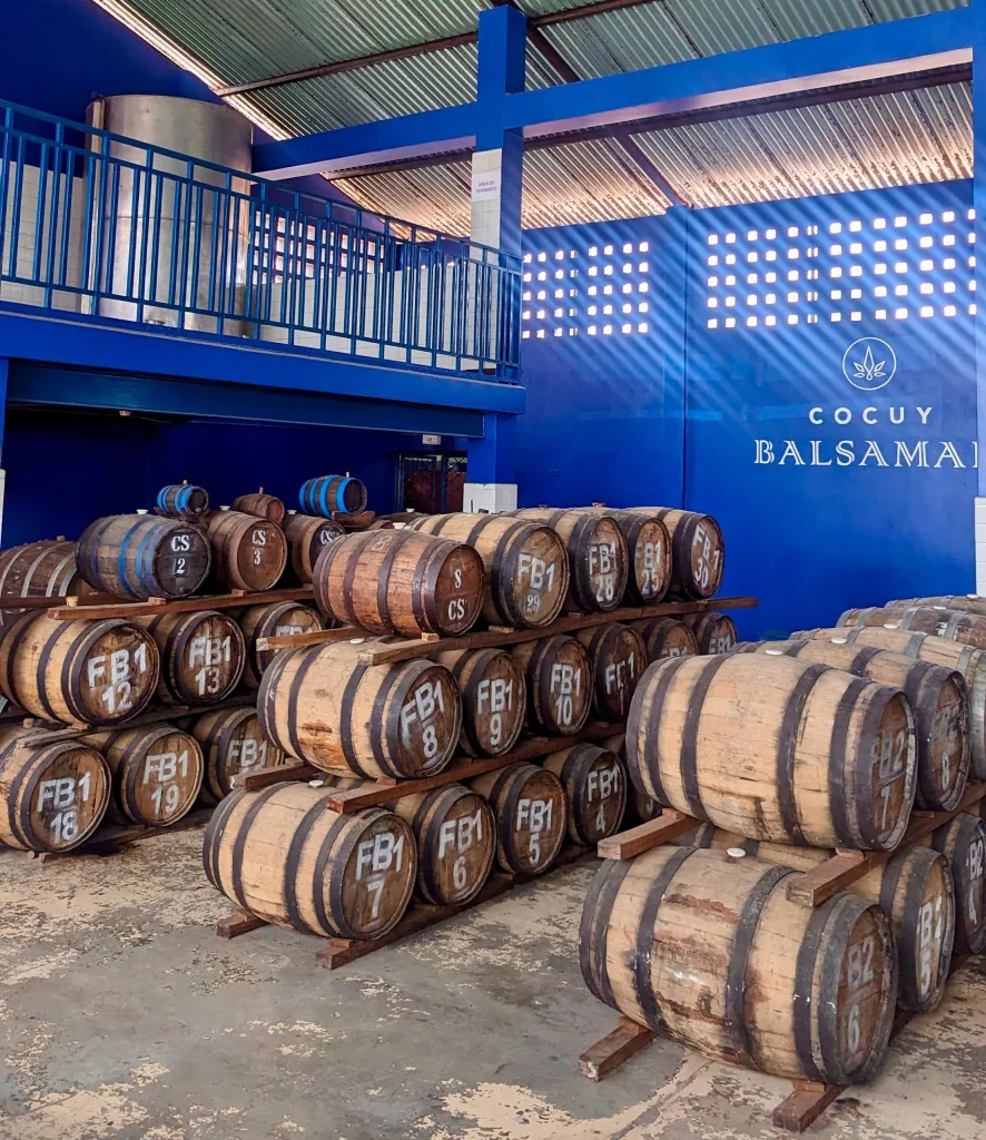 El éxito de Cocuy Verdor: tradición y modernidad en una botella