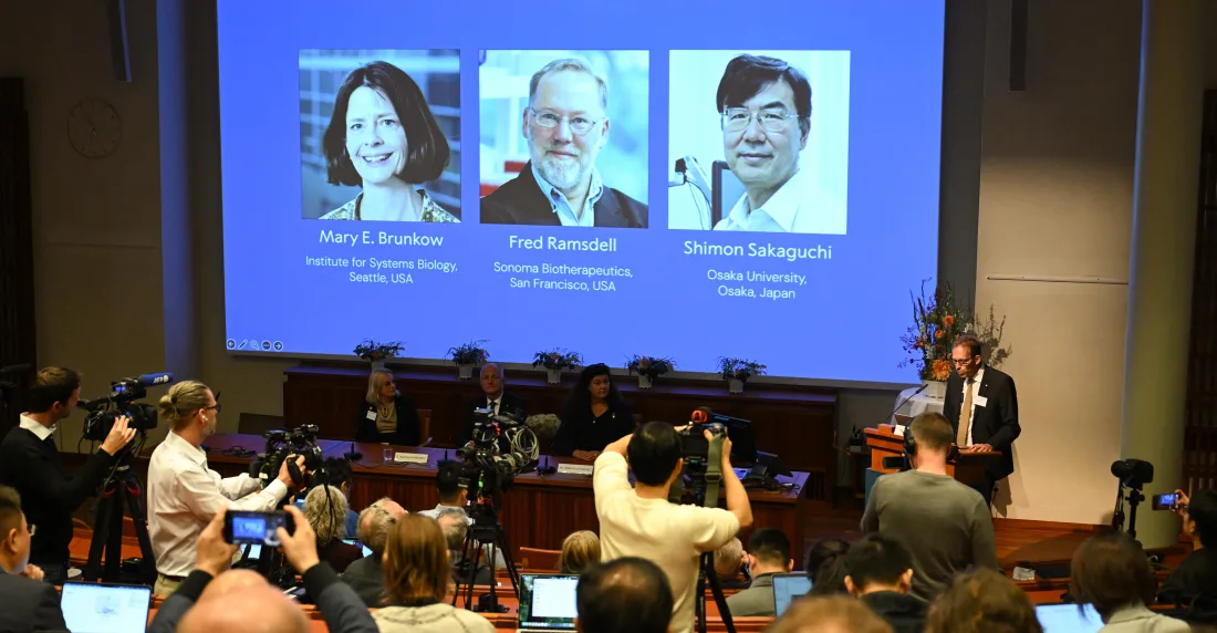 Nobel de Medicina premia descubrimientos sobre enfermedades autoinmunes