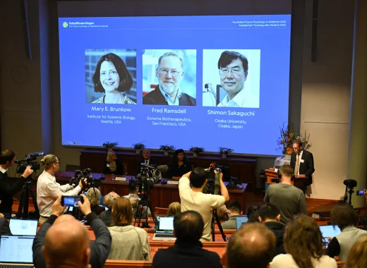 Nobel de Medicina premia descubrimientos sobre enfermedades autoinmunes