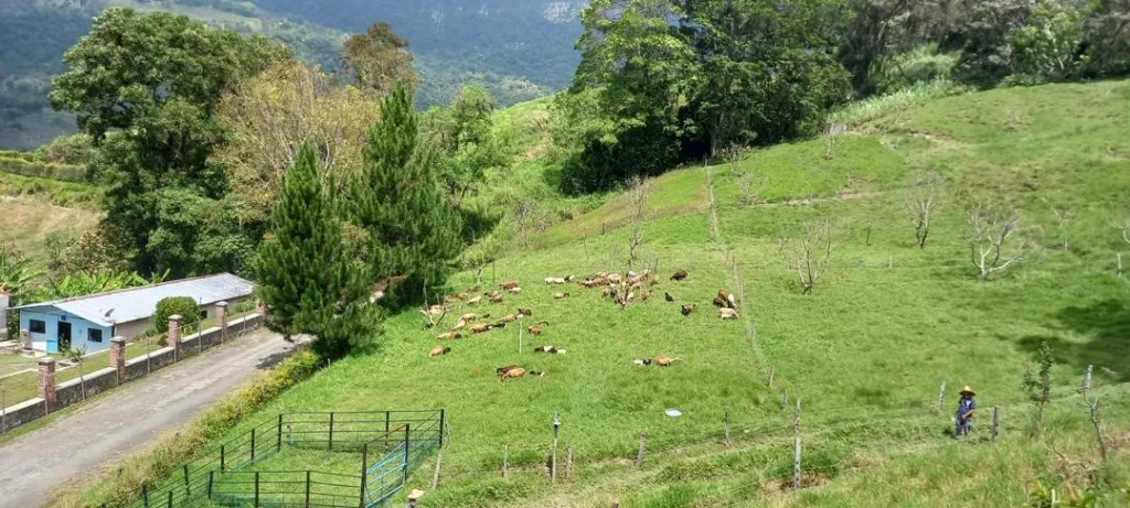 Bendito Pasto