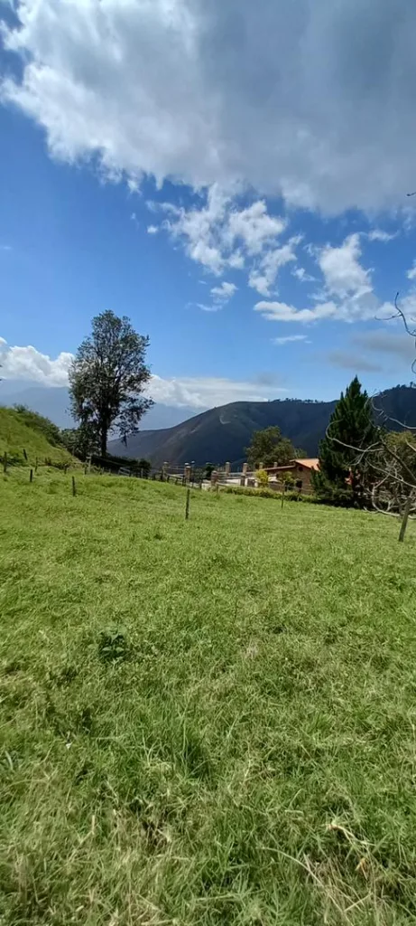 Bendito Pasto