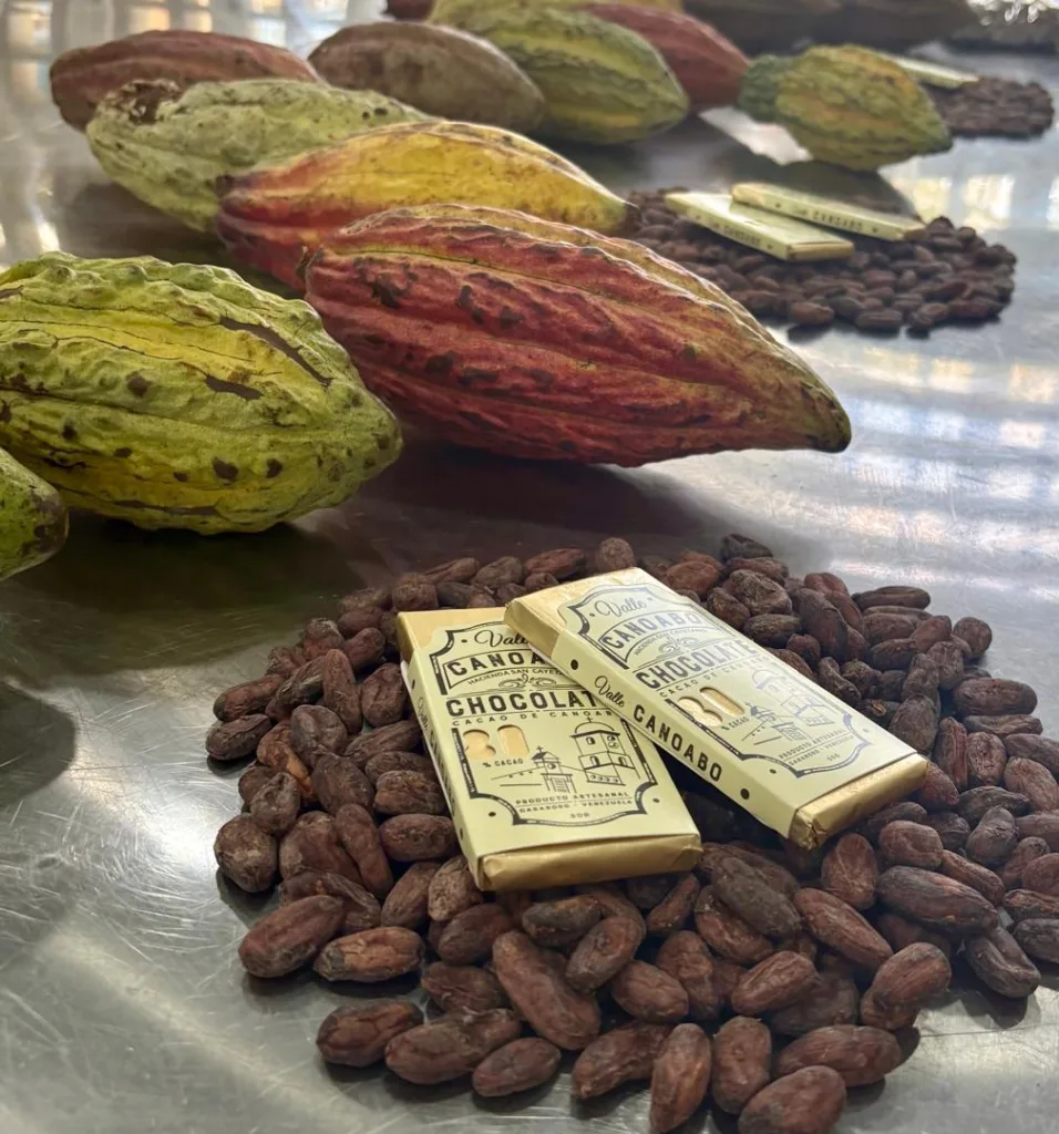 Bombones de aprovechamiento: un reto logrado por los estudiantes de la UCAB