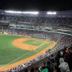 Estos son los precios de los abonos de los Leones del Caracas para la LVBP 2026-2027