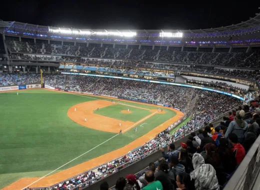 serie del caribe Leones del Caracas: fanáticos se burlan de las nuevas condiciones de ingreso al Monumental