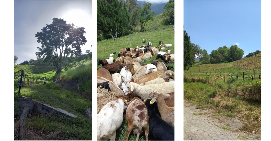 Bendito Pasto