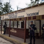 tocorón