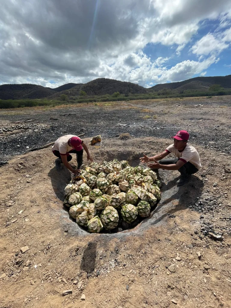 Cocuy La Capilla: un destilado 100% agave que rescata métodos ancestrales