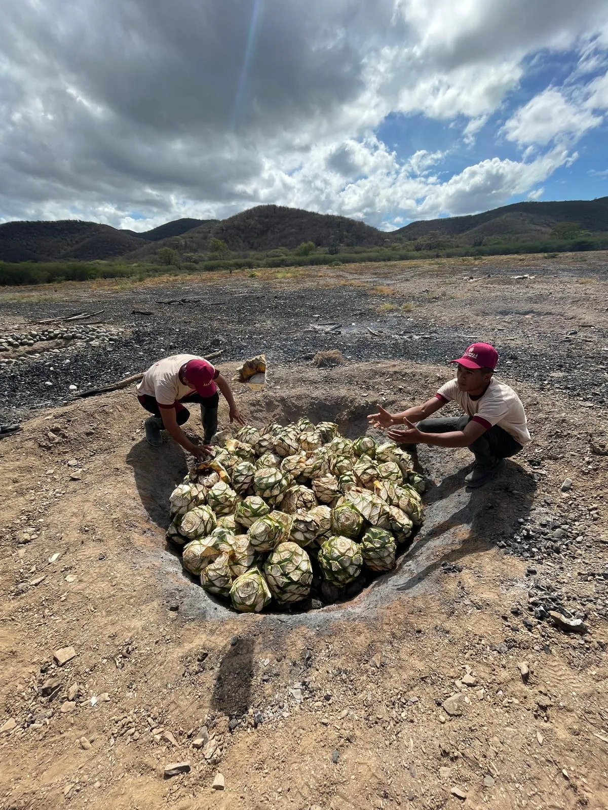 Cocuy La Capilla: un destilado 100% agave que rescata métodos ancestrales