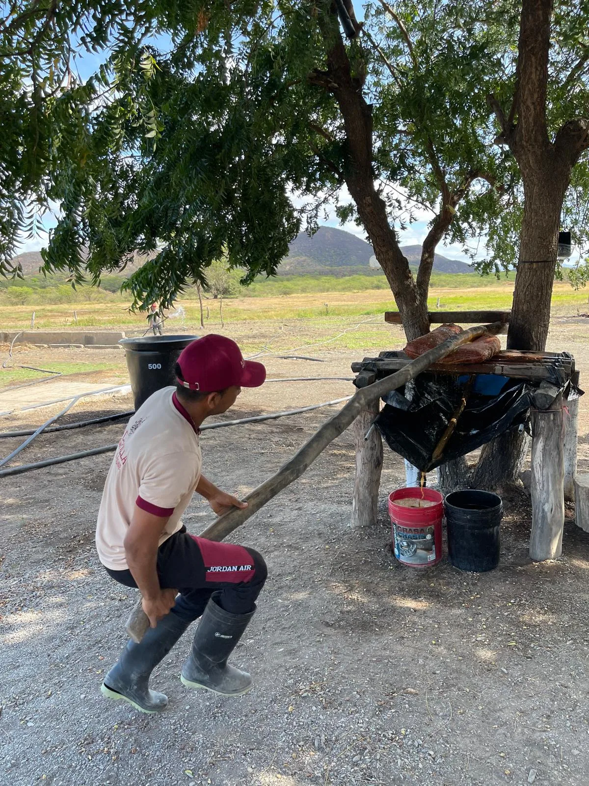 Cocuy La Capilla: un destilado 100% agave que rescata métodos ancestrales