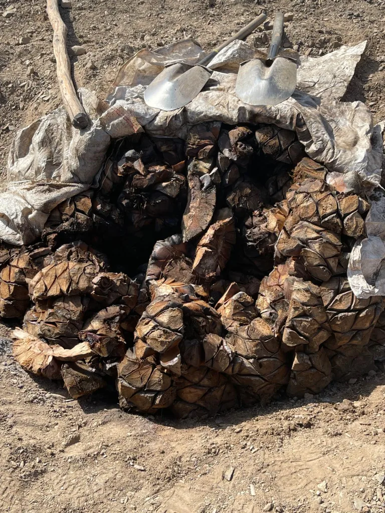 Cocuy La Capilla: un destilado 100% agave que rescata métodos ancestrales